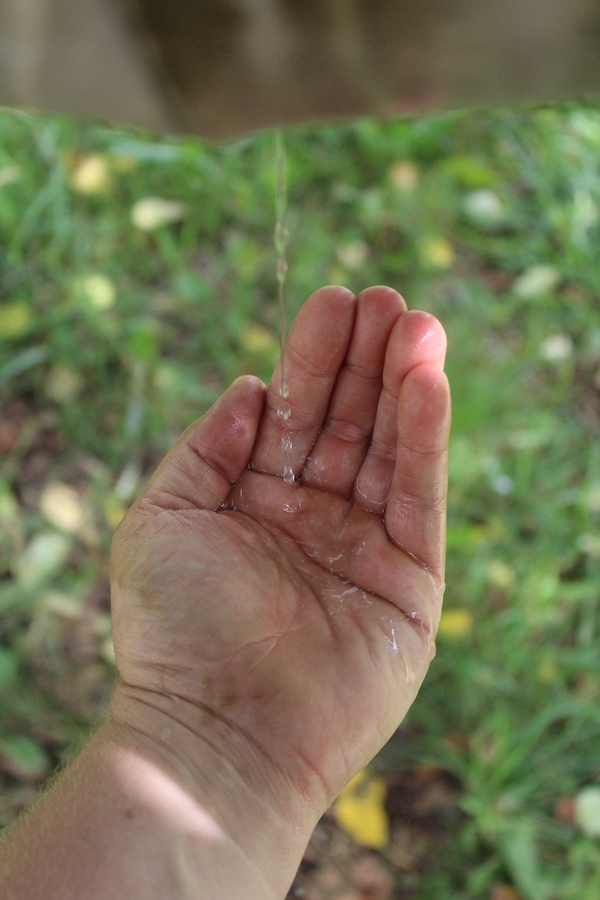 Water Filtered From Clay