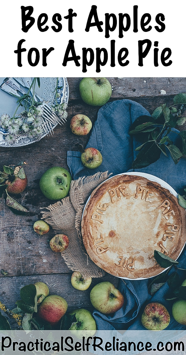 Best Apples for Apple Pie ~ Best Pie Apple Varieties #apples #applepie #food #fallrecipes #orchard #permaculture #homesteading