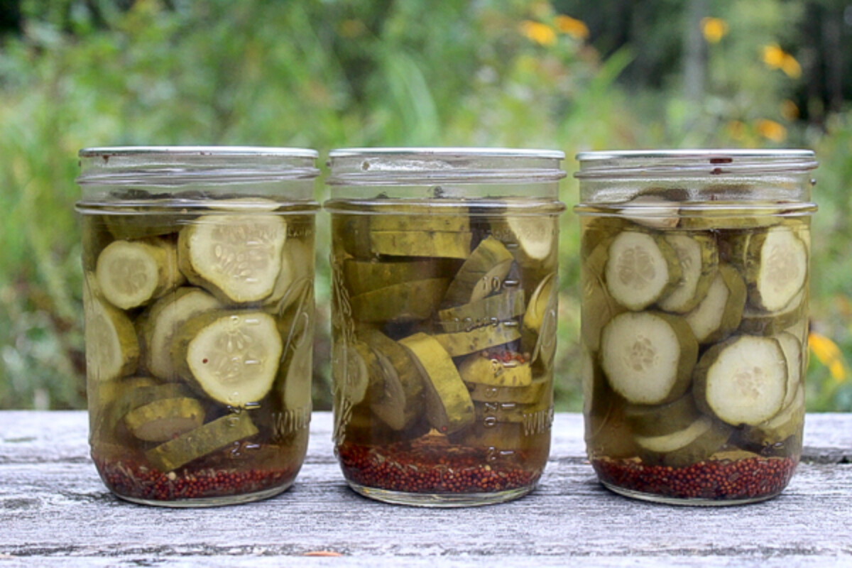 Lineup of Canned Dill Pickles