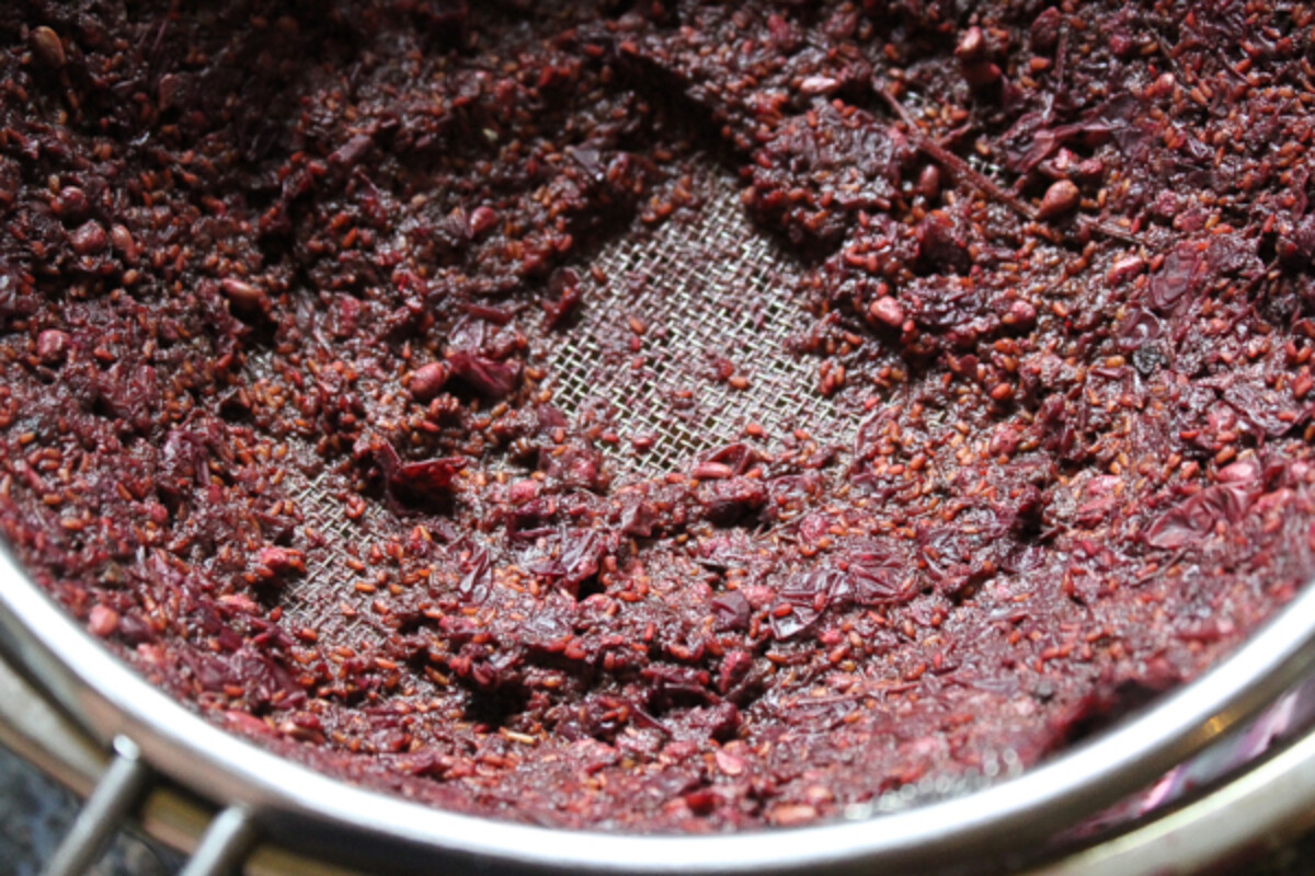 How to Juice Elderberries