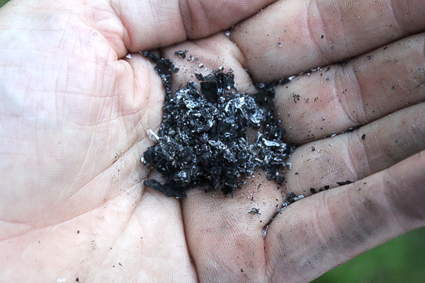 Salt Extracted from Plants