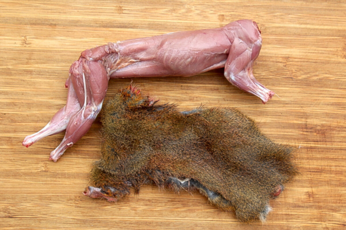 Skinned Squirrel