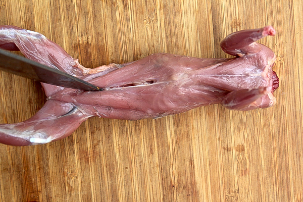 Gutting a Squirrel