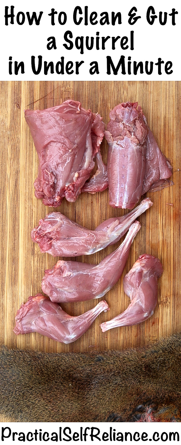 How to Clean and Gut a Squirrel in Under a Minute #squirrel #wildgame #hunting #survivalist #prepper #homesteading #butchering #selfreliant #selfsufficiency