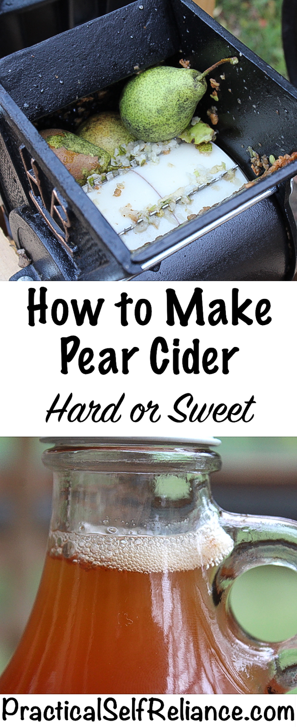 How to Make Pear Cider ~ Hard or Sweet ~ Homemade Perry #pearcider #applecider #recipes #homemade #cider #hardcider #foodpreservation #selfsufficiency #homesteading