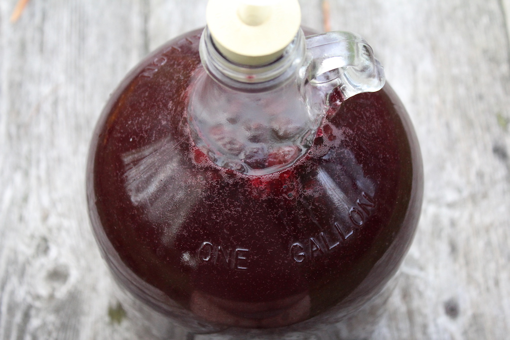 Homemade Pomegranate Wine