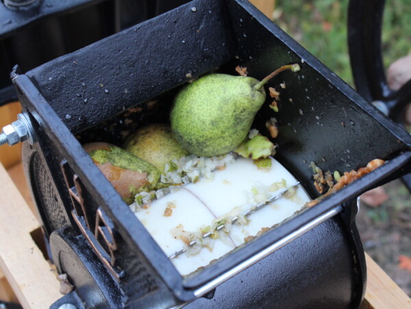 Pressing Pears for Pear Cider
