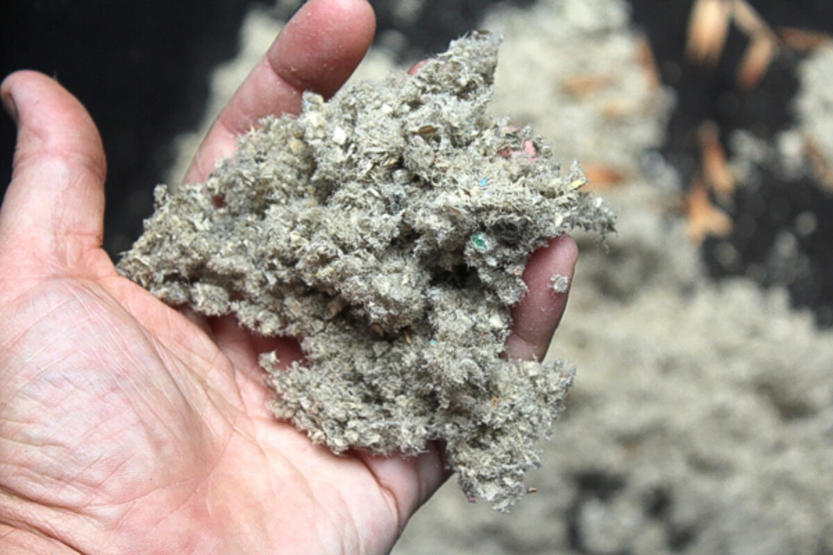 Squirrel Eaten Insulation