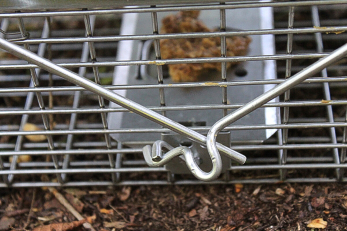 Trip Mechanism for 2 Door Have a heart trap