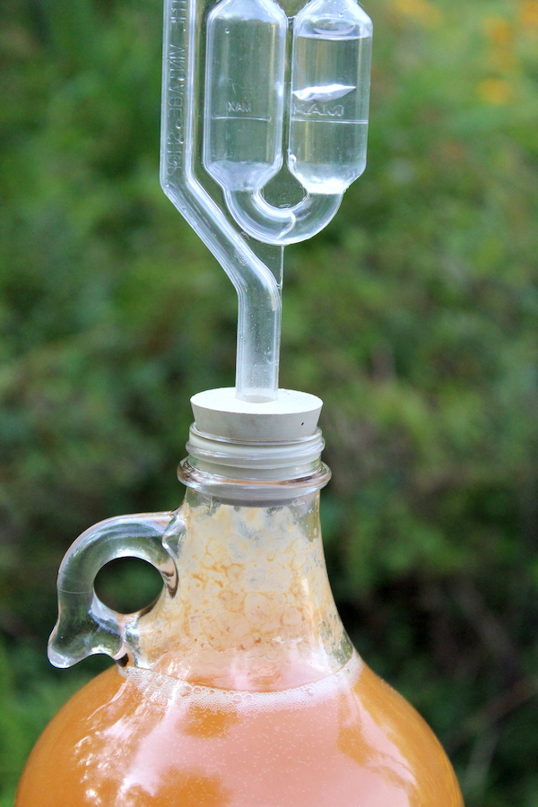 Bubbling Airlock making hard cider