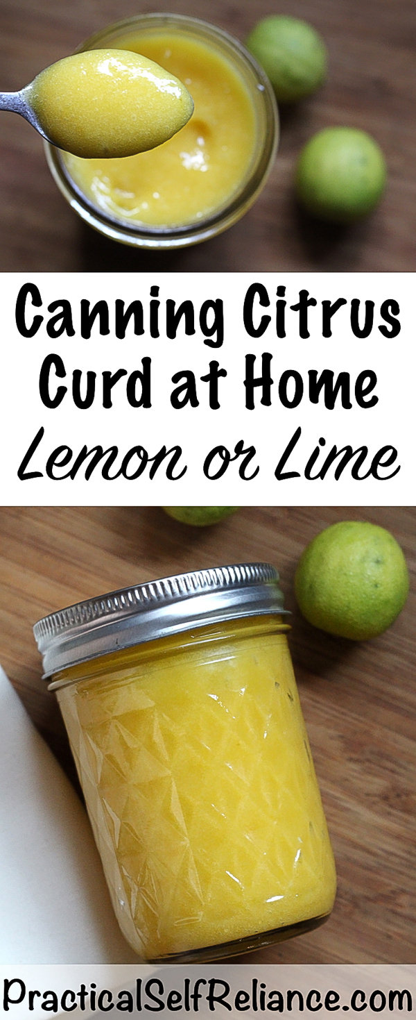 Canning Citrus Curd at Home ~ That's right, you can water bath can lemon curd at home! This is a safe, national center for food preservation approved recipe. Homemade Lemon or Lime Curd makes great edible gifts. #curd #recipes #lemoncurd #citrus #canning #foodpreservation #preparedness #homesteading