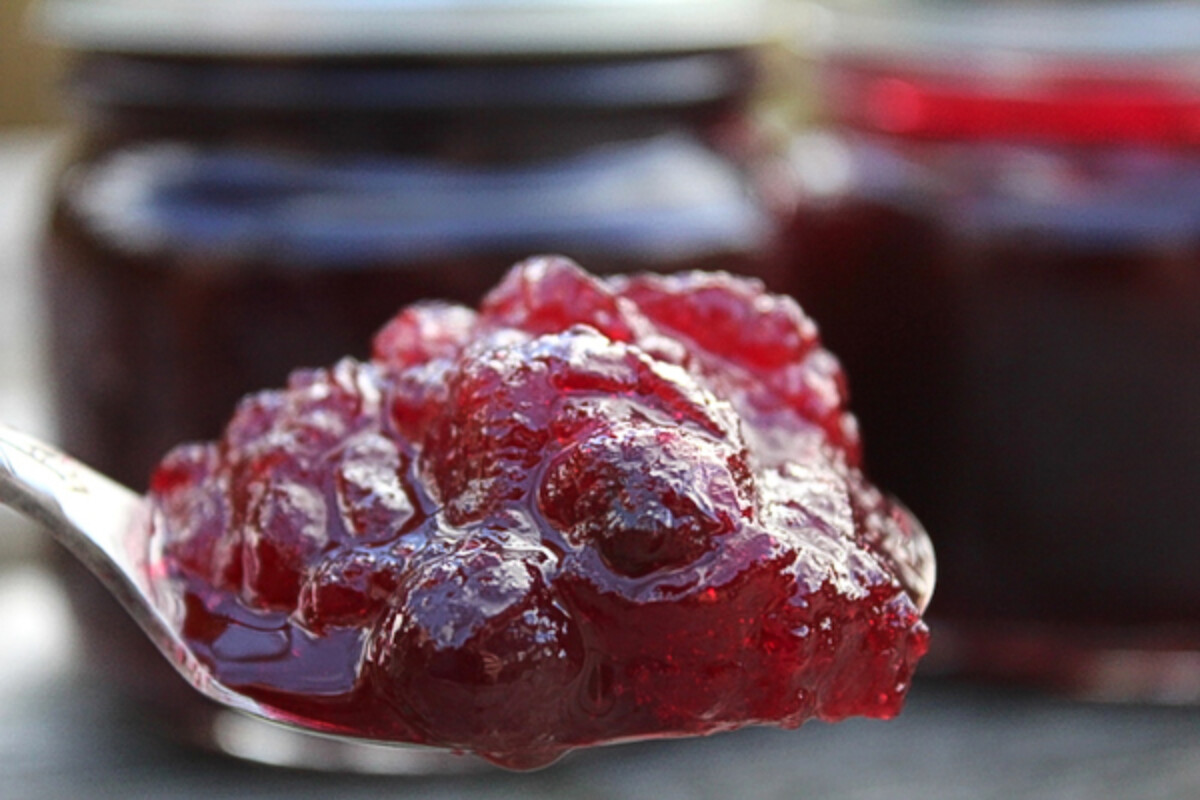 Spoon of Whole Cranberry Sauce