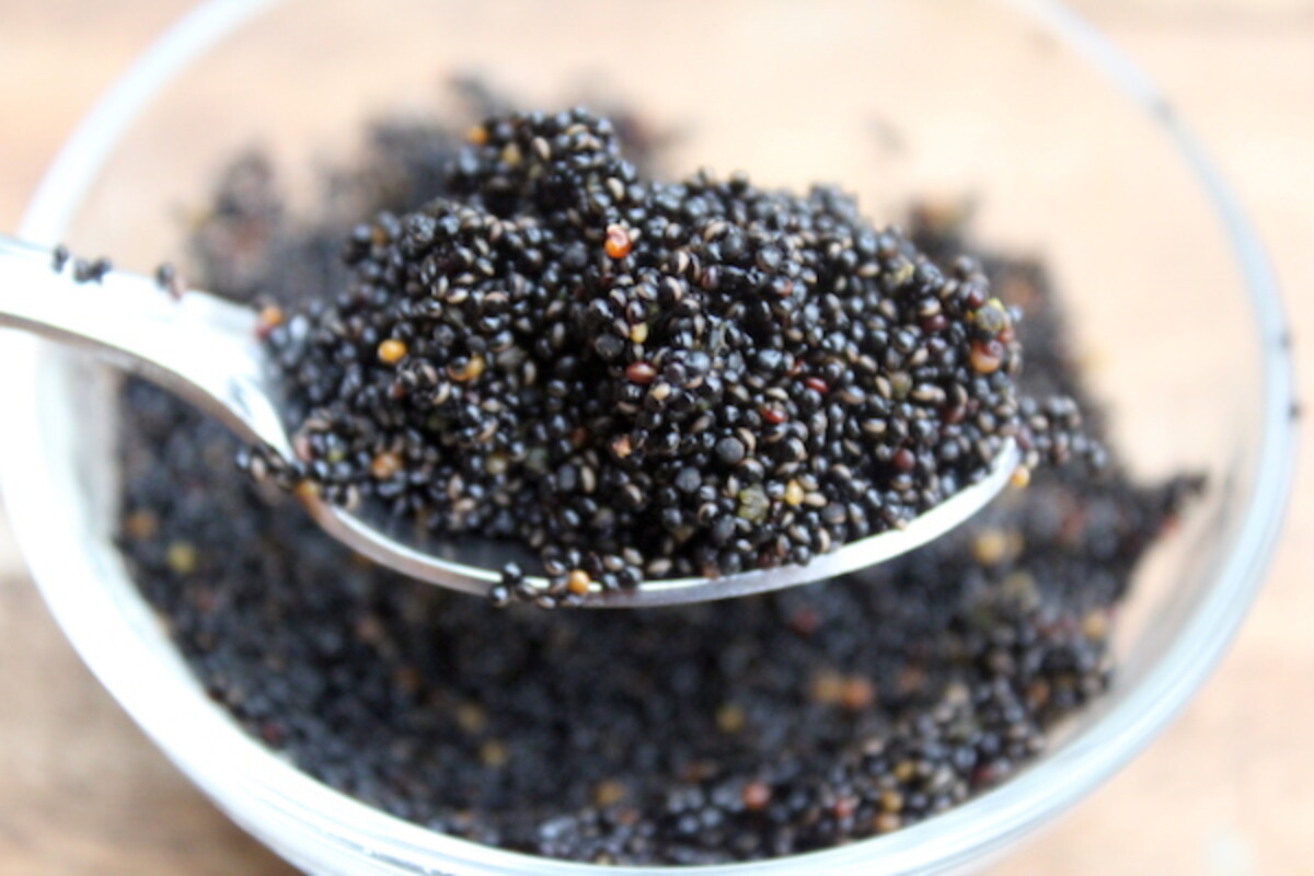 Cooked Goosefoot Seed