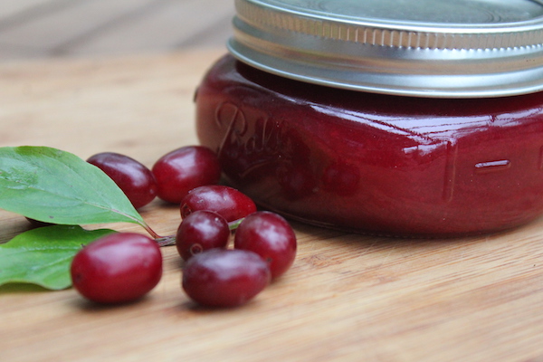 Cornelian Cherry Jam