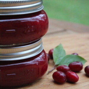 home canned cornelian cherry jam