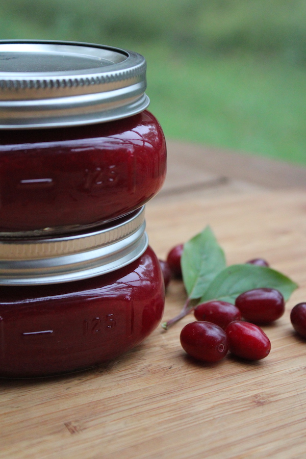 home canned cornelian cherry jam