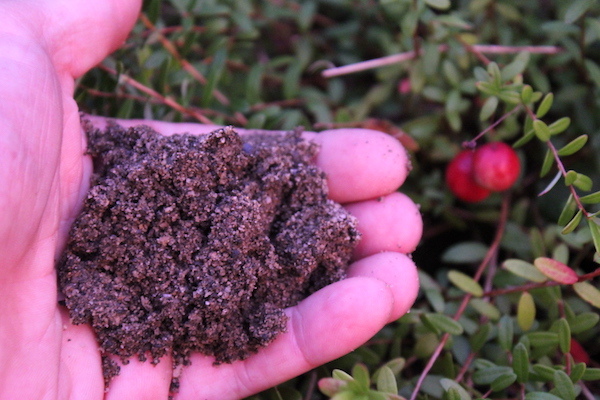 Cranberry Sand Mulch