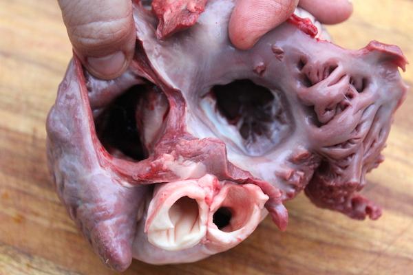 Deer Heart Chambers