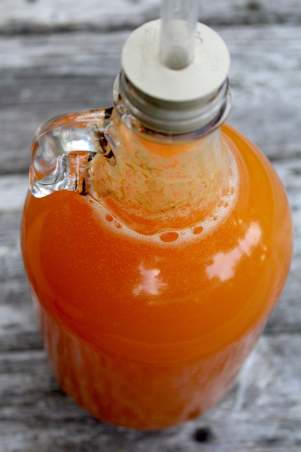 Fermenting Hard Cider