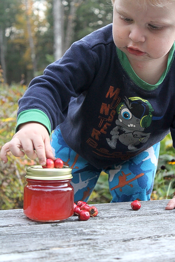 Hawthorn Baby Photo Bomb