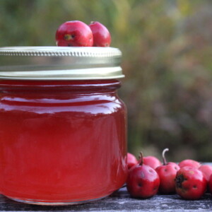 Hawthorn Jelly