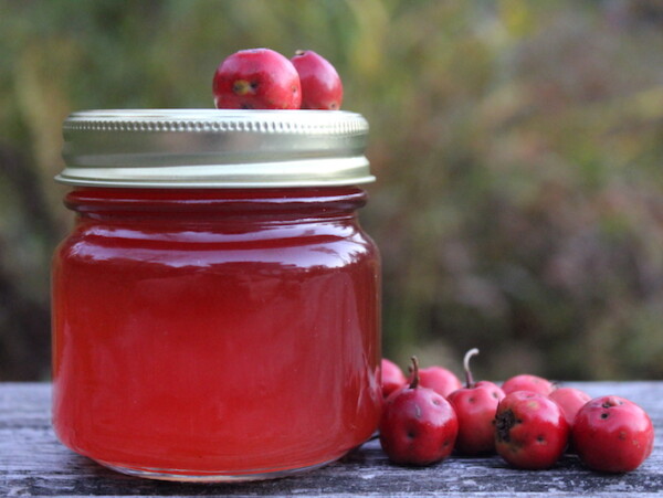 Hawthorn Jelly