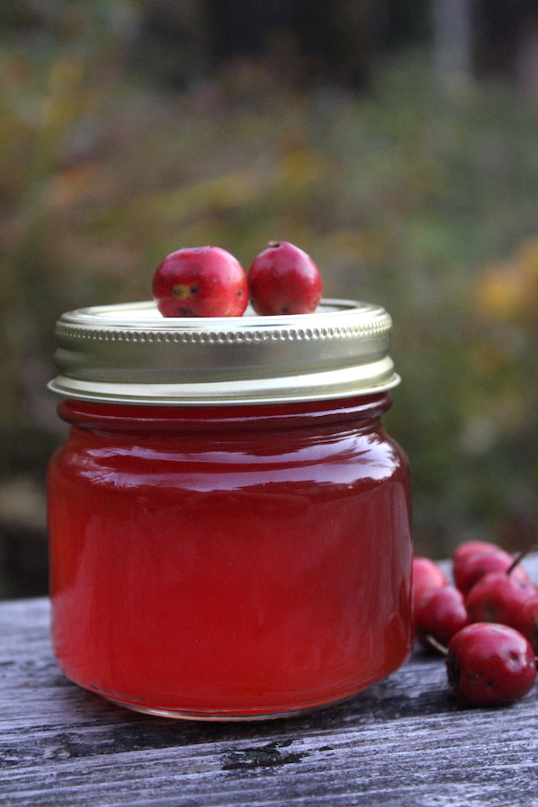 Hawthorn Jelly