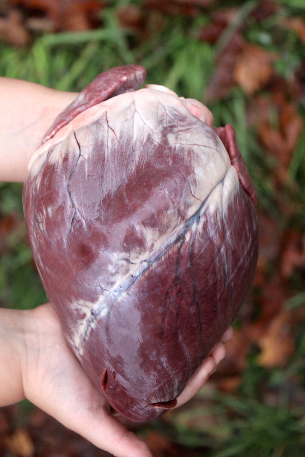 How to Cook Deer Heart