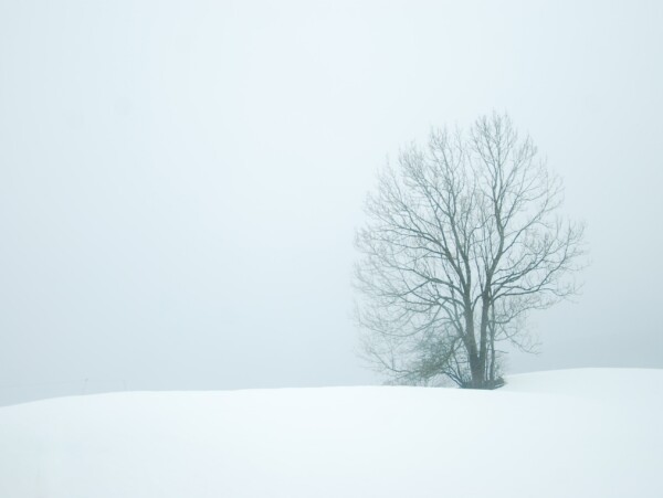 Nuclear Winter Landscape