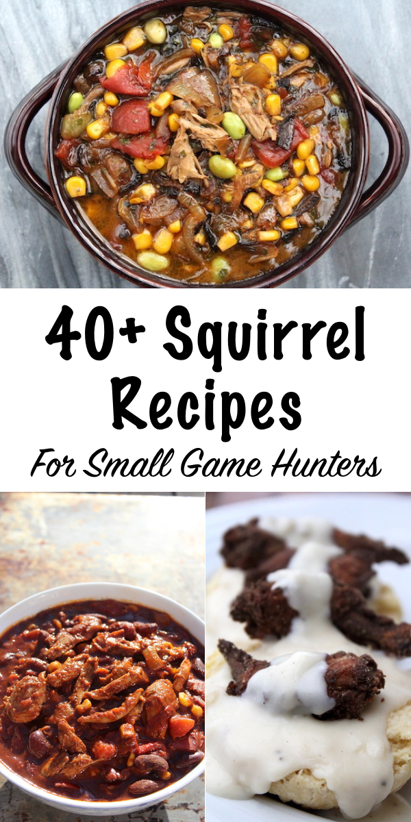 40+ Squirrel Recipes for Small Game Hunters ~ Wild Game Recipes #squirrel #recipe #howtocook #wildgame #hunting #survivalist #prepper #homesteading 