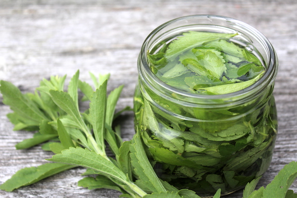 making liquid stevia extract