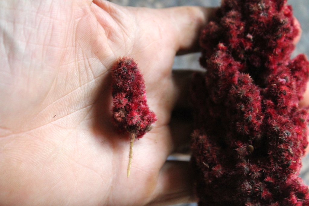Sumac Piece