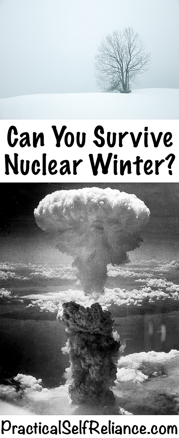 Can you survive a nuclear winter? #nuclear #survival #shtf #preparedness #prepper #selfsufficiency