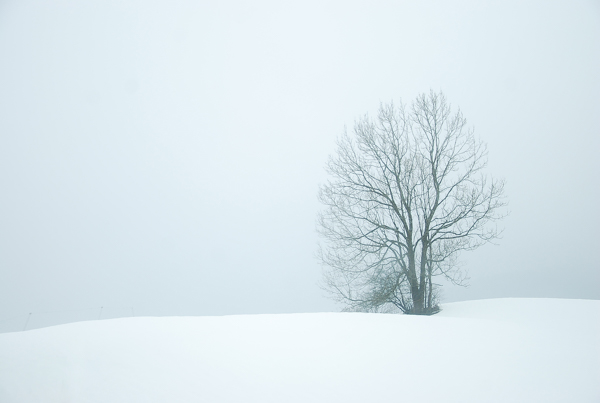 Nuclear Winter Landscape