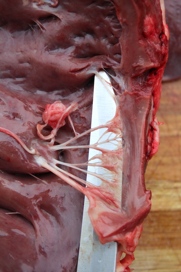 Trimming Deer Heart