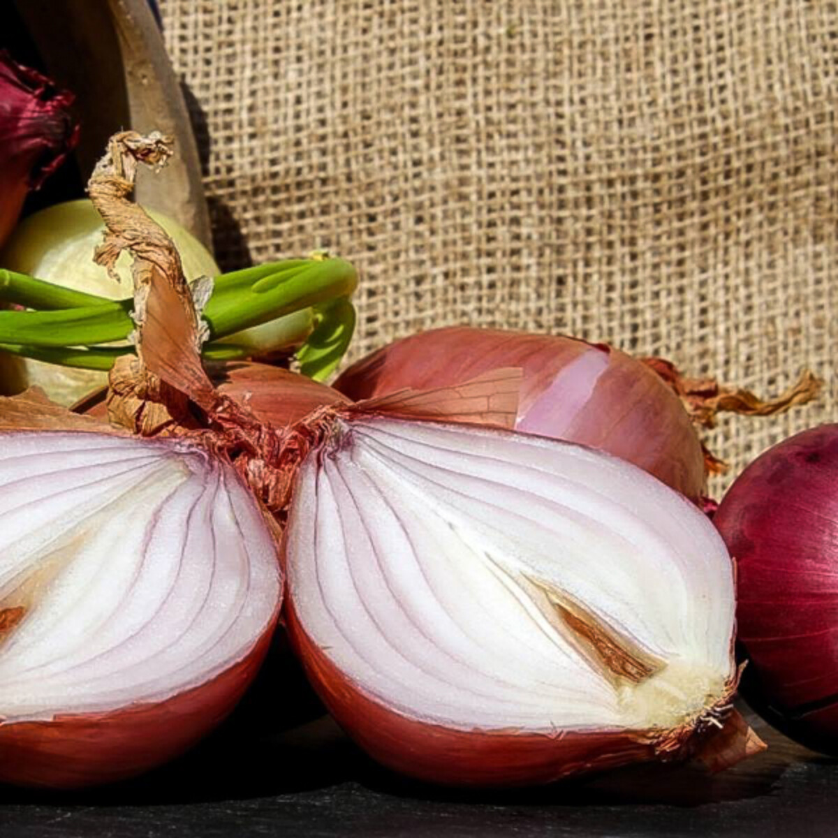 Dehydrating Onions for Soup