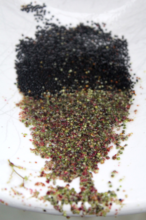 Winnowing Goosefoot Grain