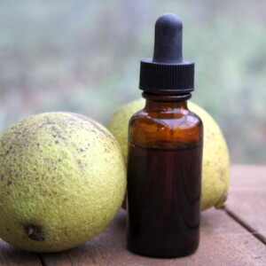 Black Walnut Tincture