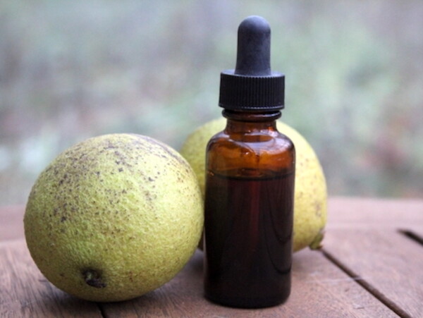 Black Walnut Tincture