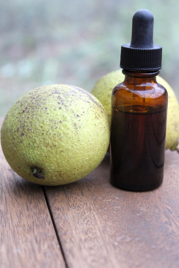 Black Walnut Tincture