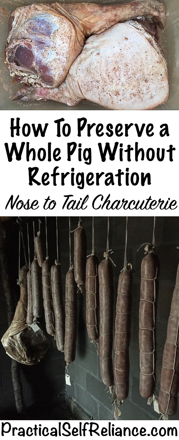 How To Preserve a Whole Pig Without Refrigeration - Nose to Tail Charcuterie #butchering #foodpreservation #hog #charcuterie #curing #nosetotail #wholehog #livestock #farming #homesteading
