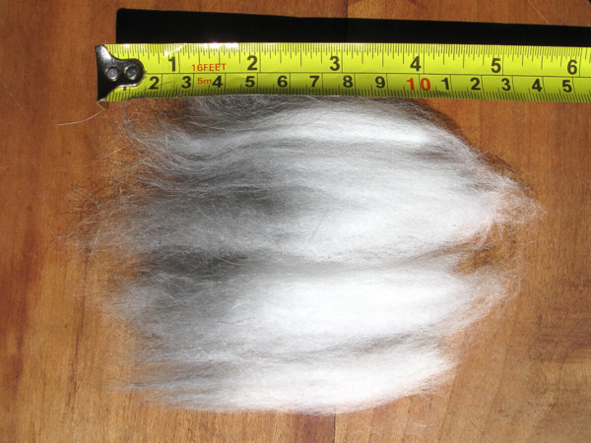 Angora Rabbit Wool Staple Length