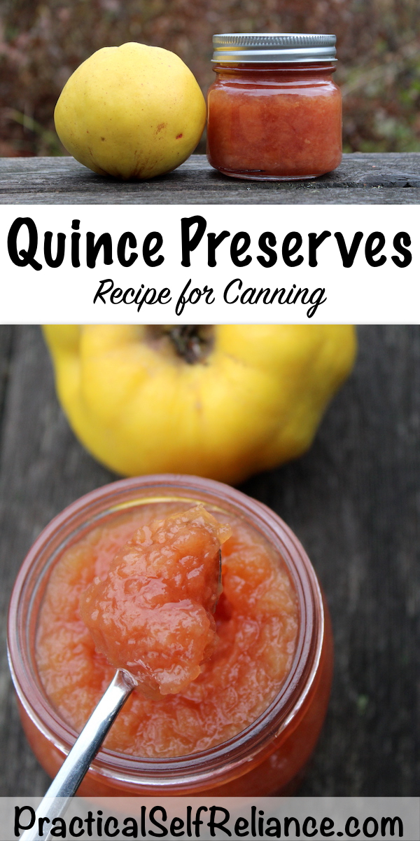 Quince Preserves Recipe for Canning #quince #recipes #preserves #foodpreservation #canning #preservesrecipe #homesteading 