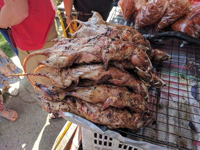 cooking rats in thailand