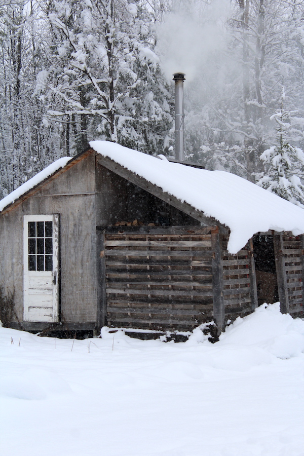 Boiler Shed for tarm external boiler