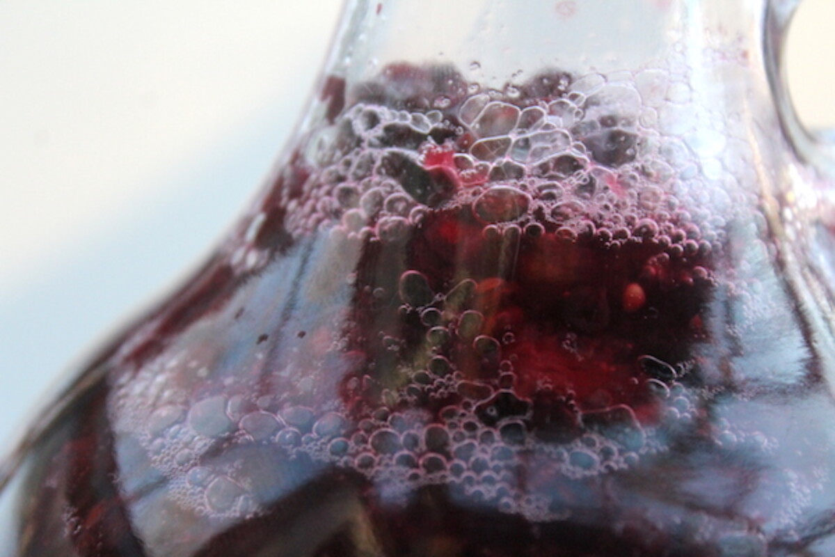 Homemade Blackberry Wine