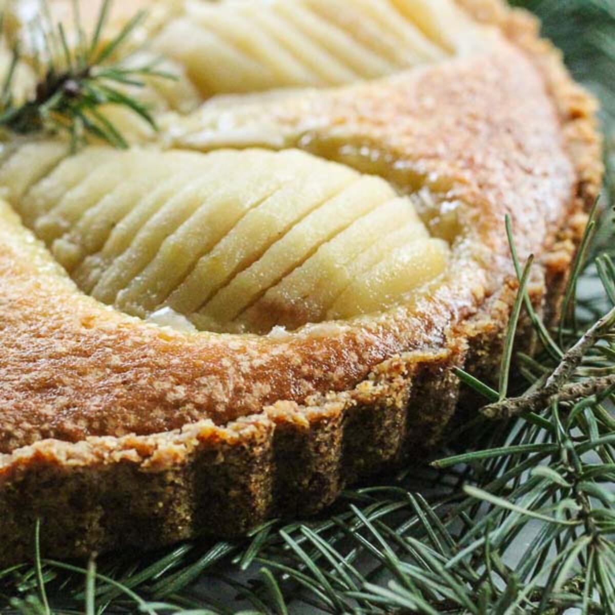 Douglas fir pear tart from Nitty Gritty Life