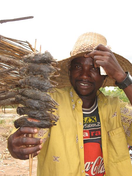 food vendor selling mice in Malawi