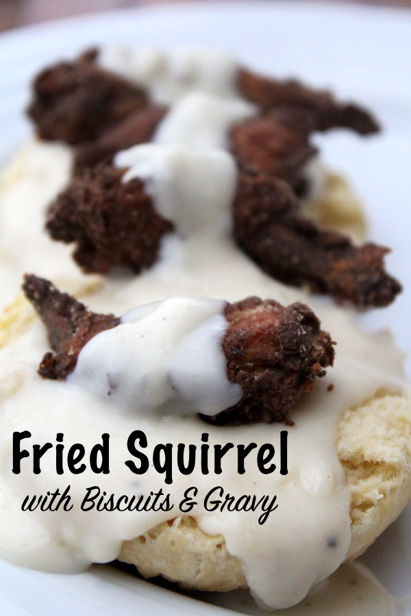 Buttermilk Fried Squirrel with Biscuits and Gravy #squirrel #recipe #howtocook #wildgame #hunting #survivalist #prepper #homesteading #friedfood #biscuitsandgravy