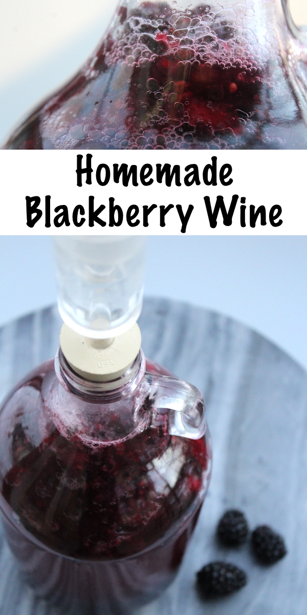 Homemade Blackberry Wine Recipe #blackberry #recipe #homemade #wine #winemaking #homebrew #fermenting #drinks #beverage